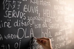 Mango Languages
