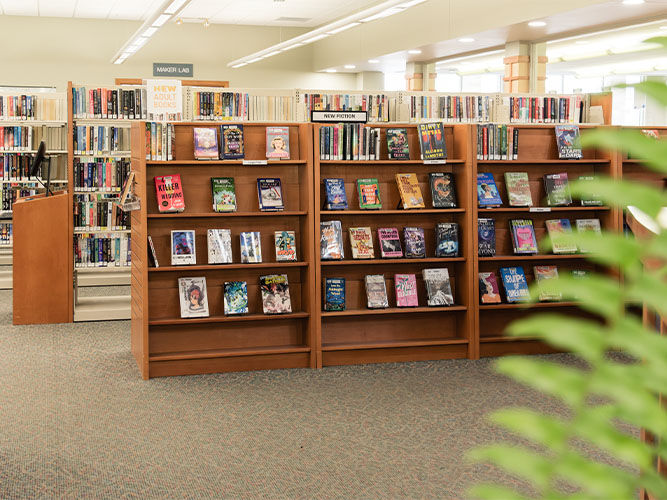 En una biblioteca, las estanterías exhiben nuevos títulos de ficción, con una iluminación cálida y una planta frondosa en primer plano.